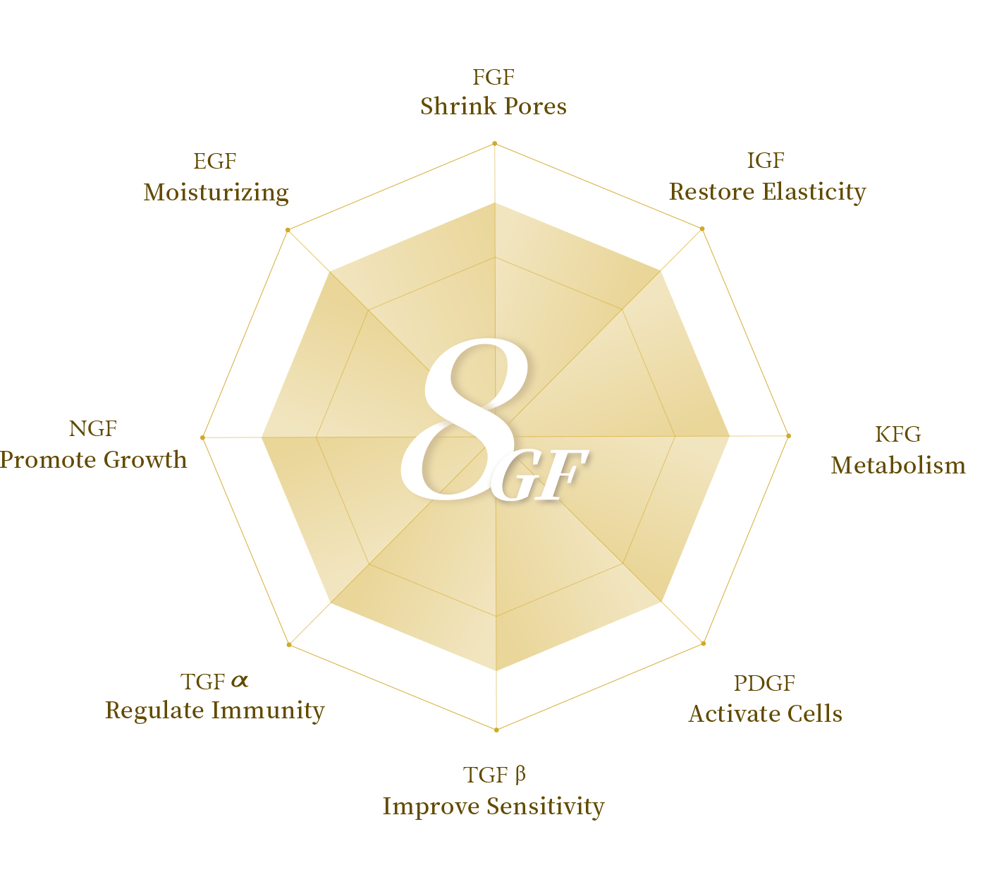 Japanese original technology- 8GFStay young-REBIRTHKEY