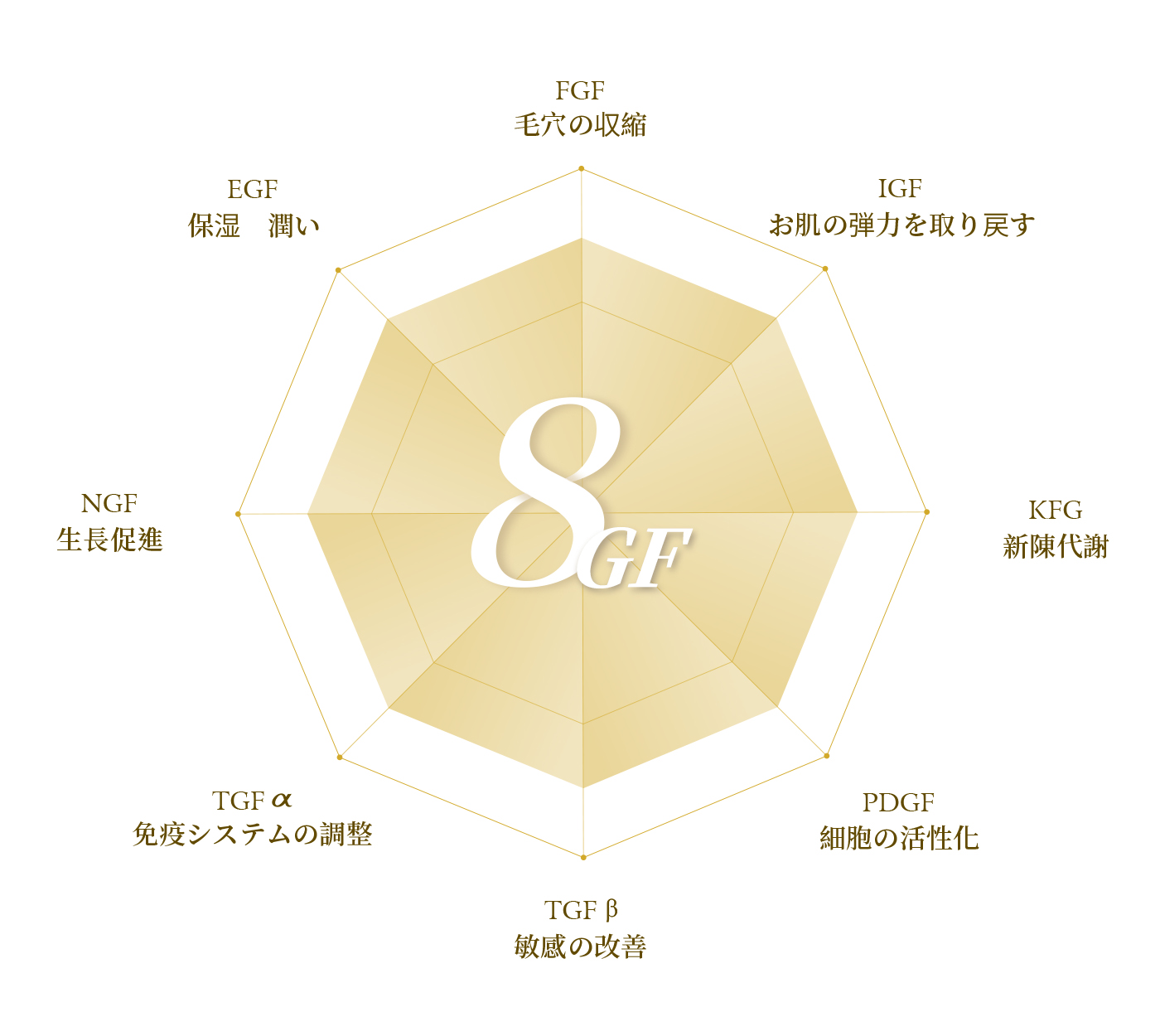 日本独自の技術8GFが若さを保つ再生の鍵になります。
